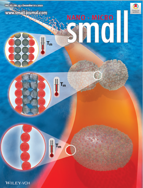 SmallCover