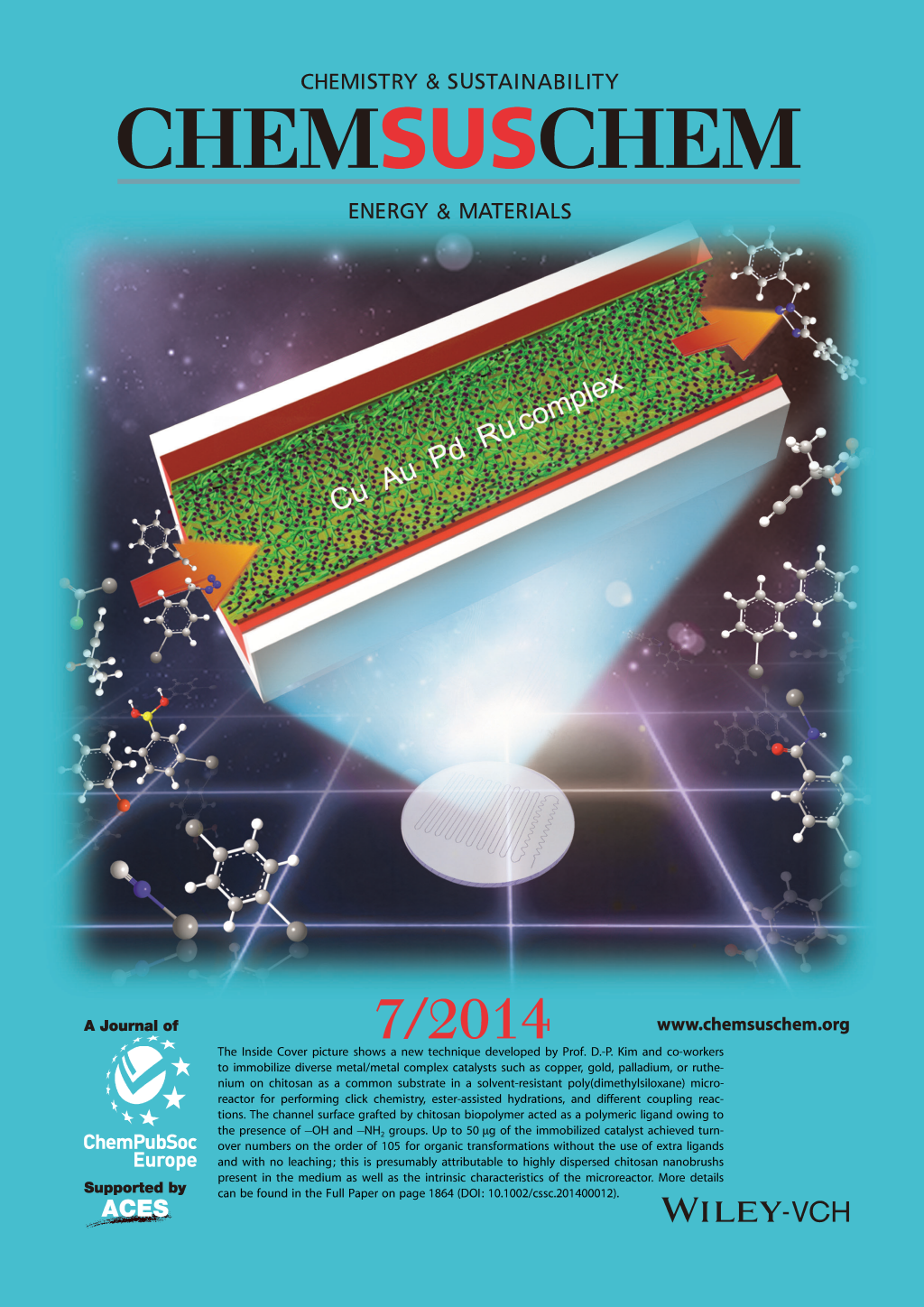 cover13